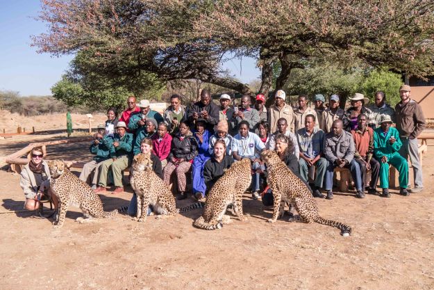 Training participants meet the Ambassador cheetahs