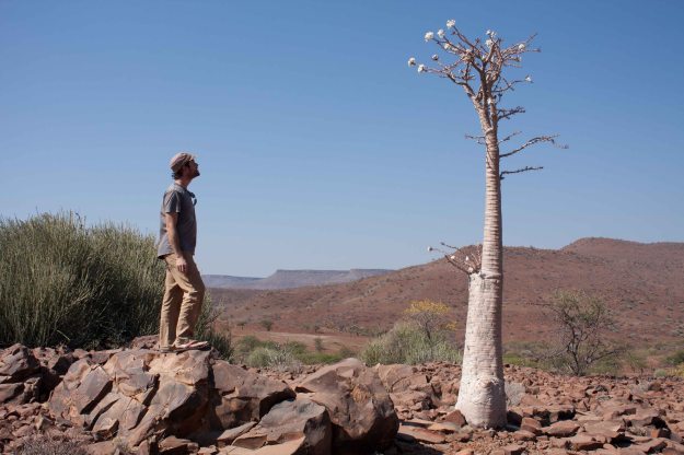 Chris admires a desert plant in bloom despite the drought